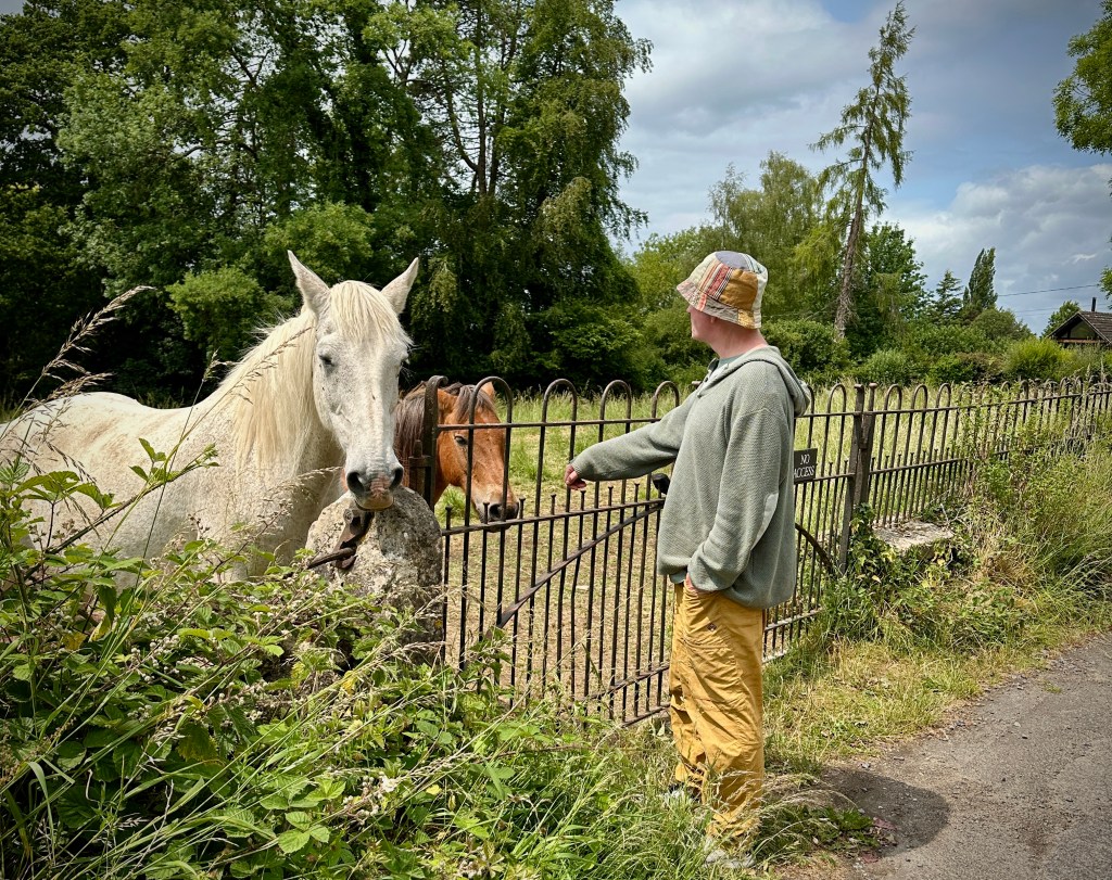 Hobbling through honey-coloured hills