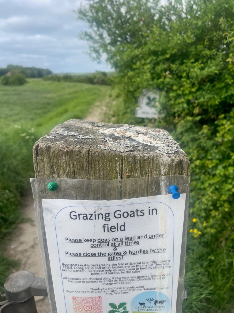 Fence post with a sign about goats of scientific significance
