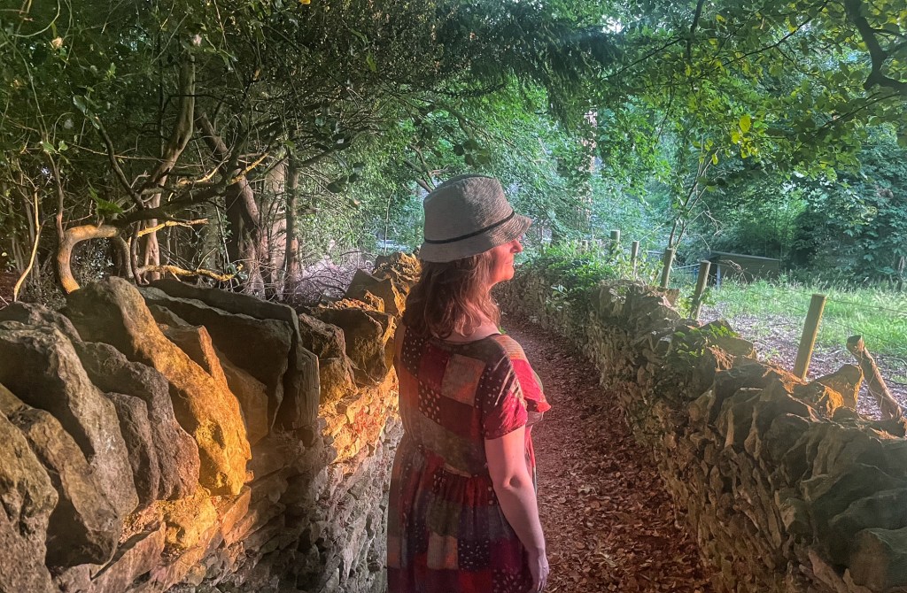 Sunset in the woodlands around Amberley