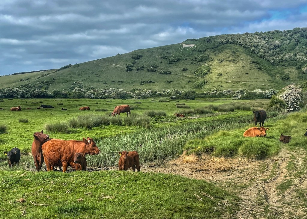 A white chalk horse on a hillside next to dry river beds