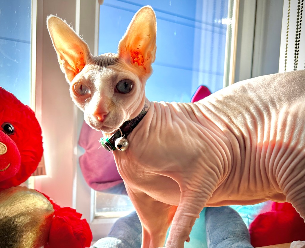 Our last two weeks in the UK (till&nbsp;Christmas)